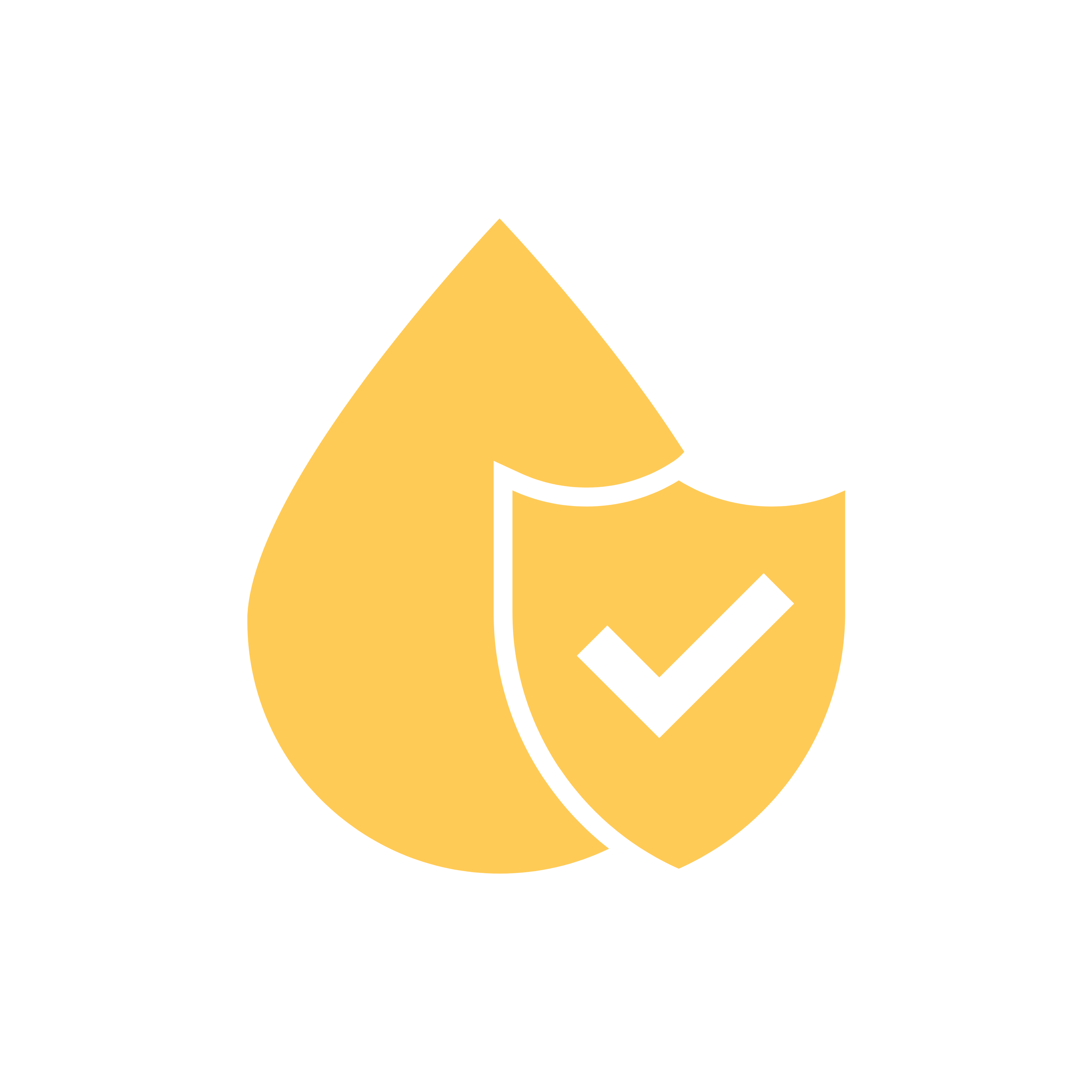 Anti Tarnish Protection